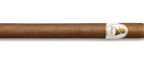 Winston Churchill Churchill Aristocrat