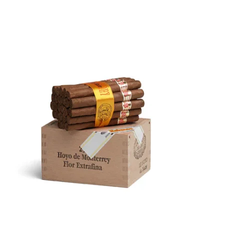 Hoyo De Monterrey Du Maire